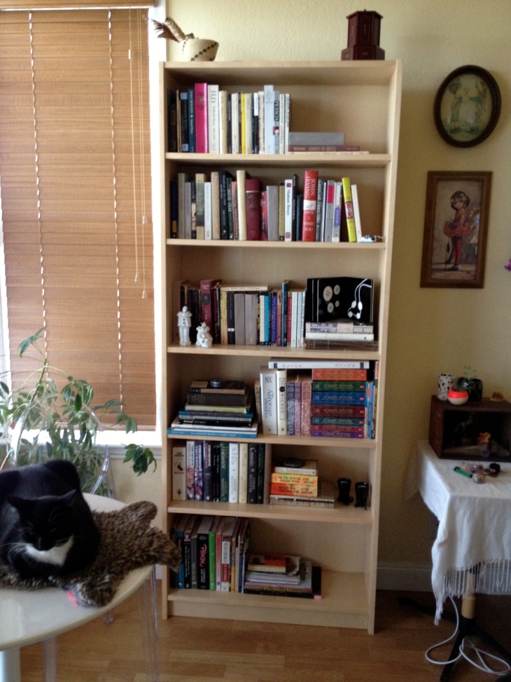 Jennifer Jordan bookshelves, bookcase, bookshelf, book, books